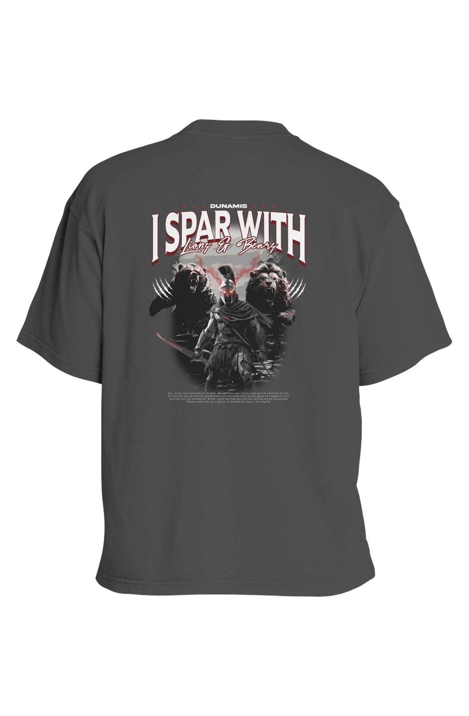 Slay Your Giant Heavyweight T-Shirt